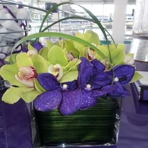 Meet your Posher, Maria